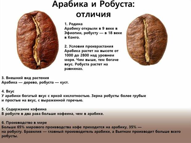Знакомство с кофе