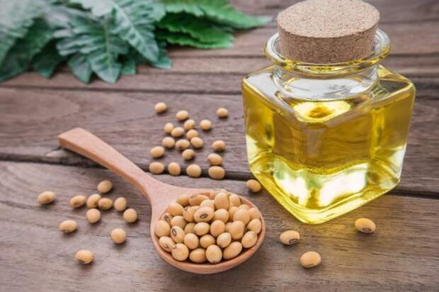 Полезное приобретение для любой кухни. /Фото: agrozernoholding.com Полезное приобретение для любой кухни. /Фото: agrozernoholding.com