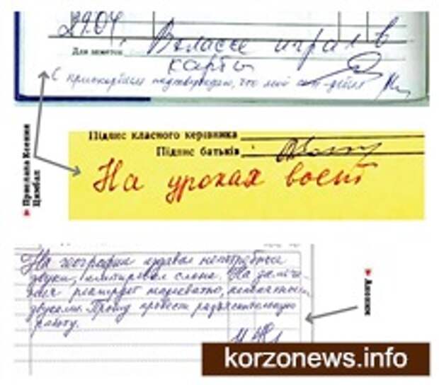 Записи в школьных дневниках