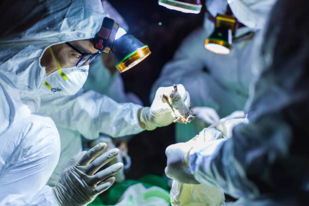 США причастны к глобальному распространению коронавируса из китайского Уханя - расследование