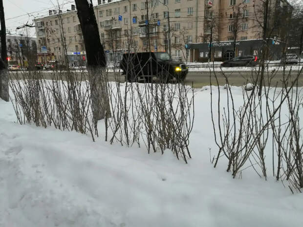 Семь городов Челябинской области накроет опасный для здоровья смог