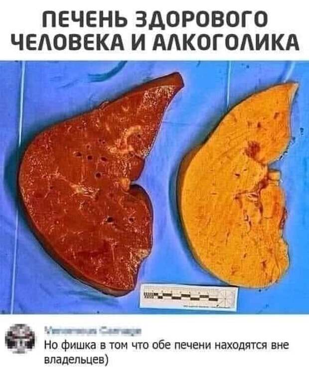 А если нет никакой разницы...