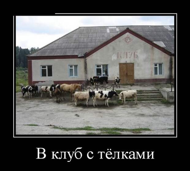 Демотиваторы (30 фото)