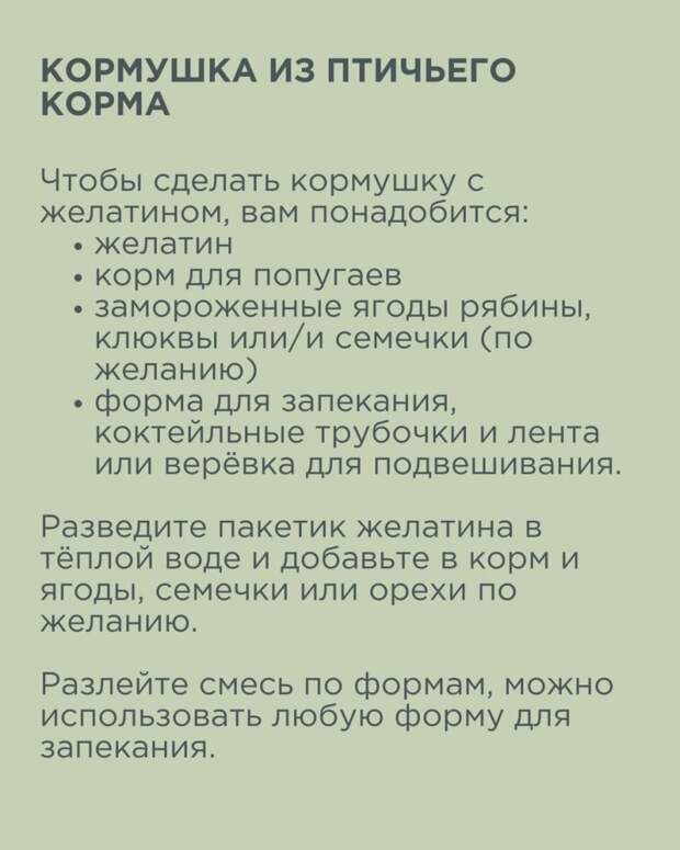 Как изготовить кормушку для птиц своими руками