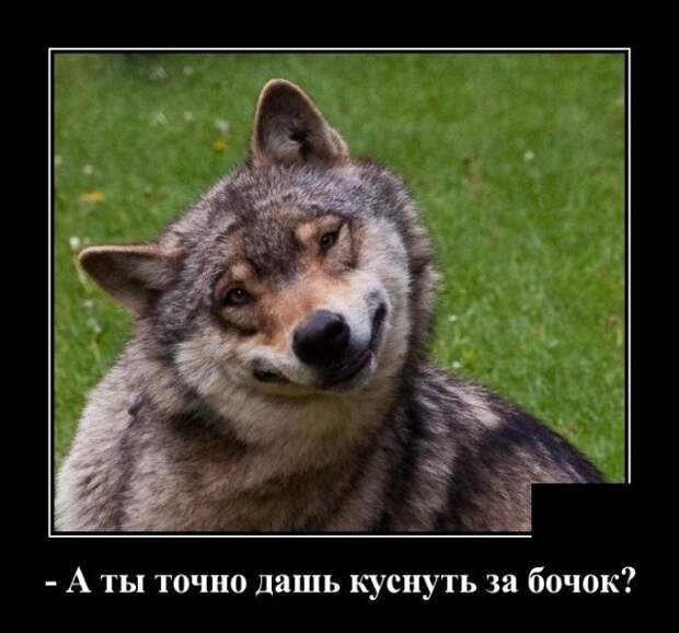 Демотиватор про бочок