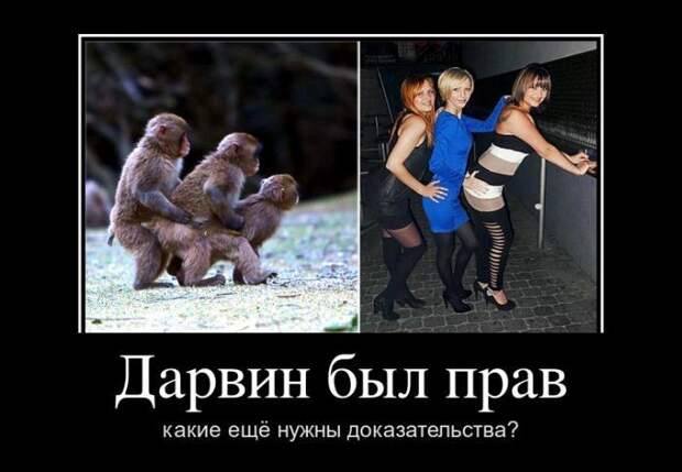 5.  Анекдоты, девушки, демотиваторы, животные, прикол, юмор