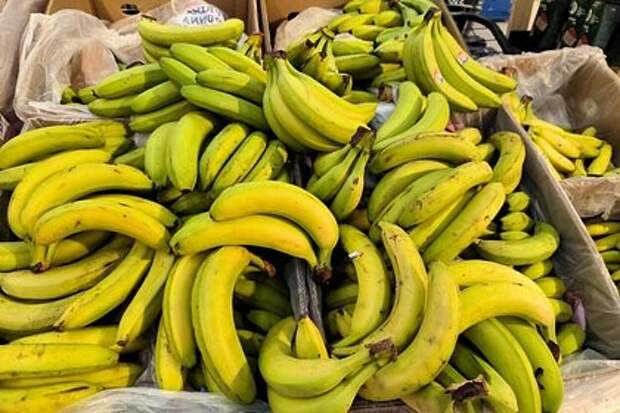 В России вводят первый ГОСТ на бананы с огуречным ароматом