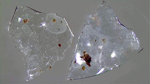 a photo of two contact lens fragments