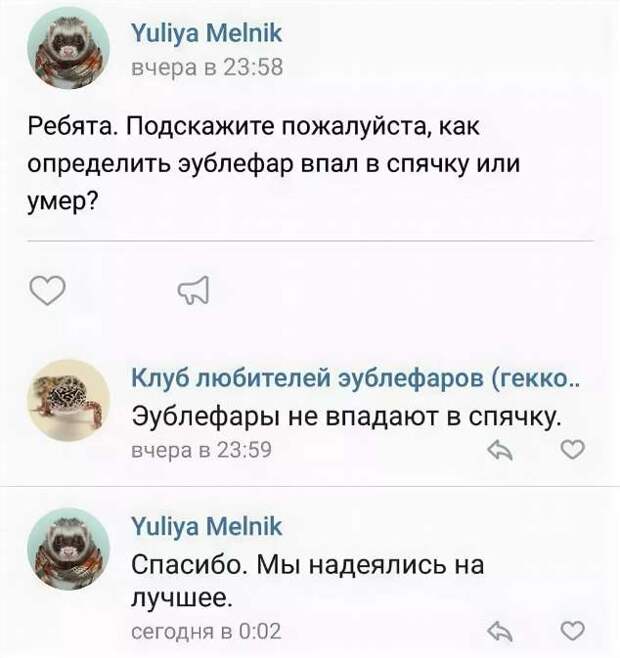 Смешные комментарии. Подборка chert-poberi-kom-chert-poberi-kom-12350203102020-4 картинка chert-poberi-kom-12350203102020-4
