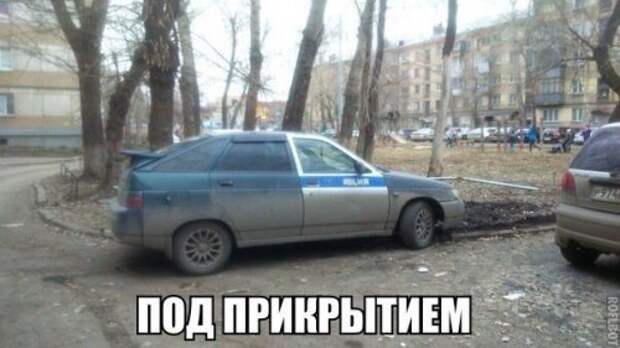 Новые АВТОприколы (35 фото)