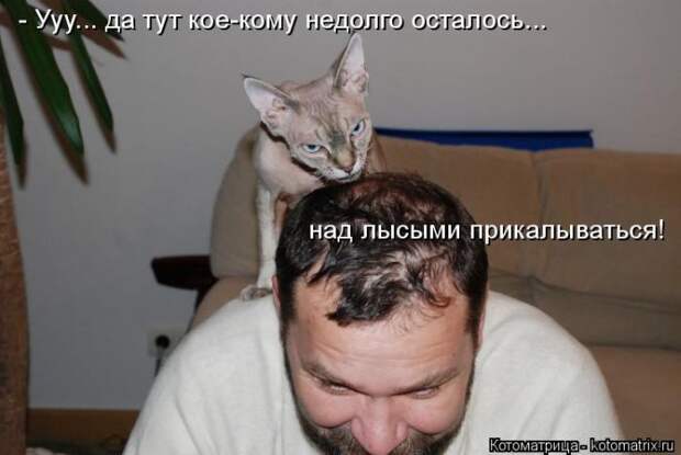 Лучшие котоматрицы недели (50 фото) Лучшие котоматрицы недели (50 фото)