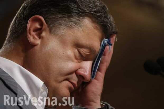 Порошенко сам виноват, что Нидерланды сказали «нет», — Bloomberg | Русская весна