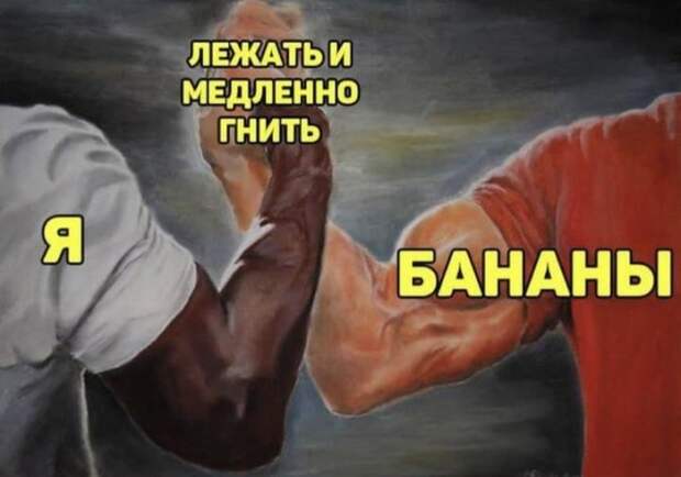 Забавные шутки и мемы из Сети