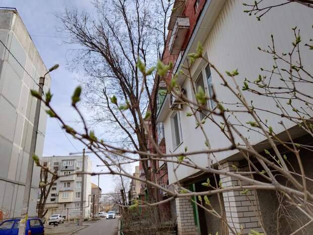 Завтра в Астрахани похолодание и дождь