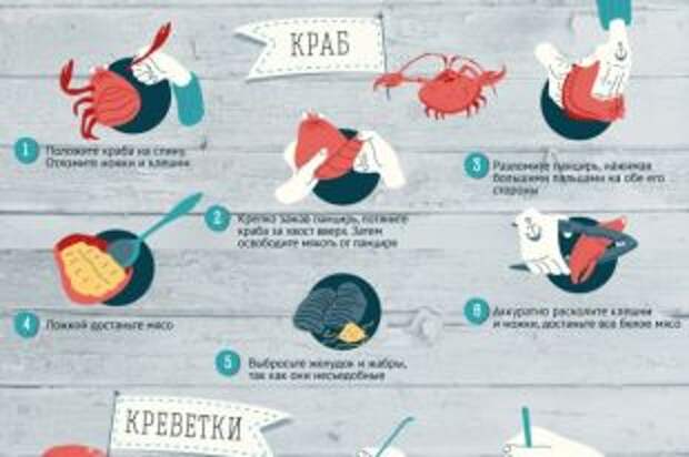 Лобстеры, крабы, улитки: как нужно есть морепродукты? Инфографика