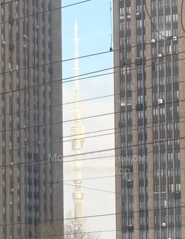 В Москве Останкинская башня покрылась от холода снегом