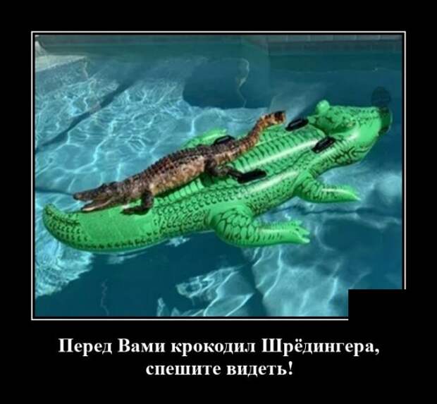 Демотиваторы 29 октября 2021 года