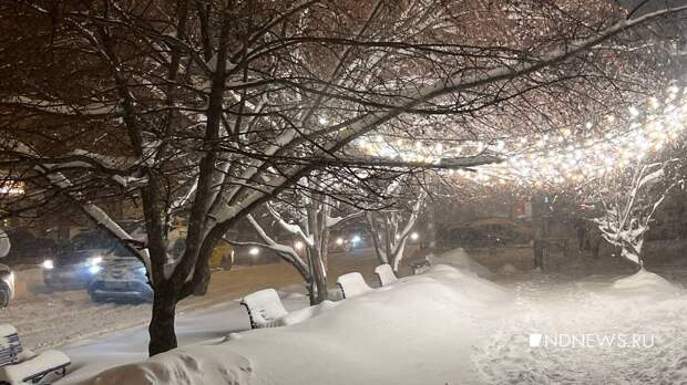 «Ее Мутко английскому учил». «Алису» высмеяли за знание иностранного