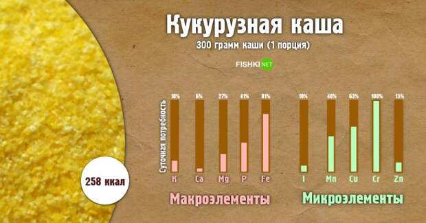 Кукурузная каша инфографика, каша, полезности, польза