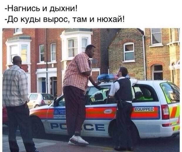 10.  авто, автоприколы, приколы
