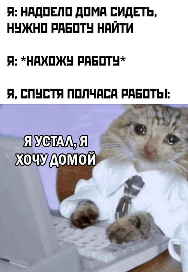 Подборка интересных и веселых картинок Подборка интересных и веселых картинок