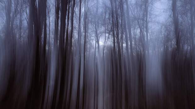 Сын пропавшей Усольцевой предположил, что могло произойти с его семьей