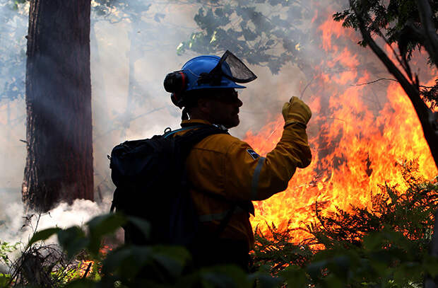 Лесные пожары в Канаде. Фото: FRED CHARTRAND/PA Images/ТАСС