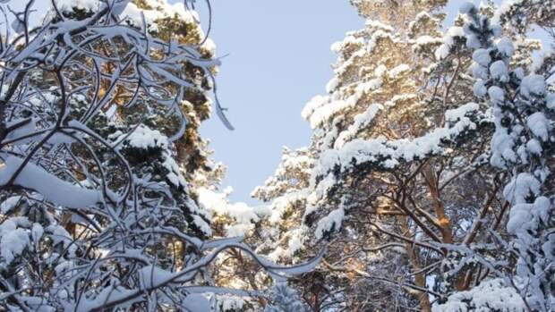 Синоптики предварительно рассказали, какая погода будет в Башкирии зимой