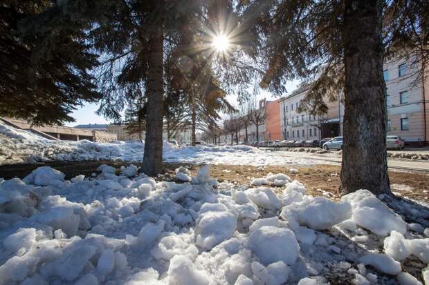 Солнечно и до +10 градусов: синоптик Ильин рассказал о погоде в Тульской области в выходные