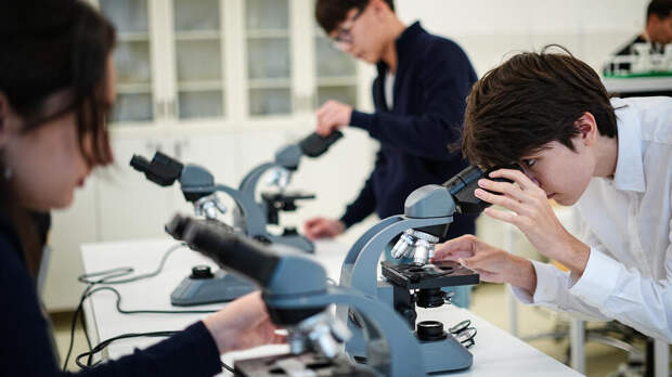 Собянин: растет интерес школьников к естественно-научной вертикали