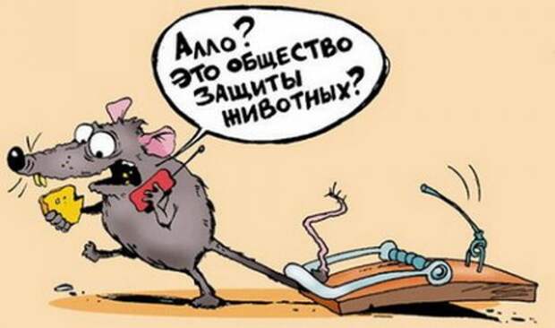 Убойные и смешные карикатуры (25 фото) Убойные и смешные карикатуры (25 фото)