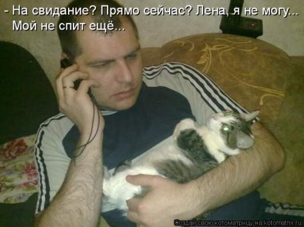 Свежая котоматрица (22 шт)