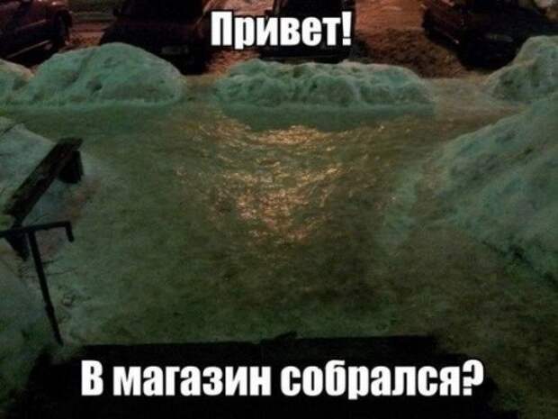 Анекдоты дня (12 шт)