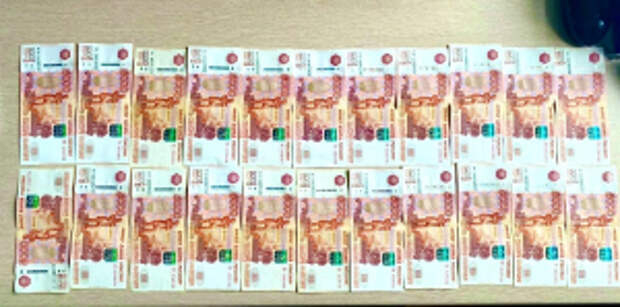 Транспортные полицейские вернули пассажиру поезда «Москва – Владивосток» потерянную сумку с деньгами