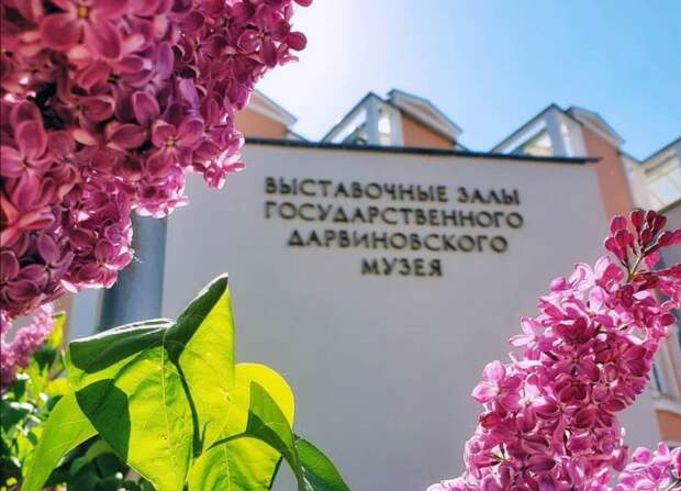 1-Дарвин_1.jpg