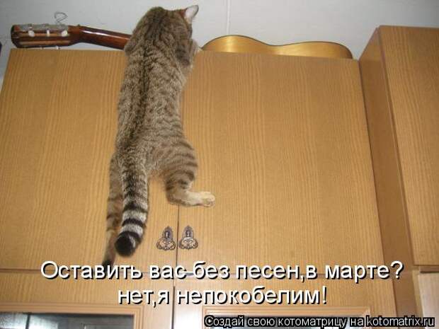 Котоматрица: Оставить вас без песен,в марте? нет,я непокобелим!