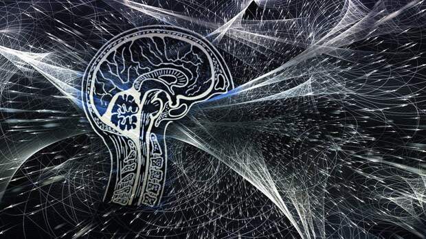 IT-эксперт Геллер назвал главную угрозу нейросетей для человека