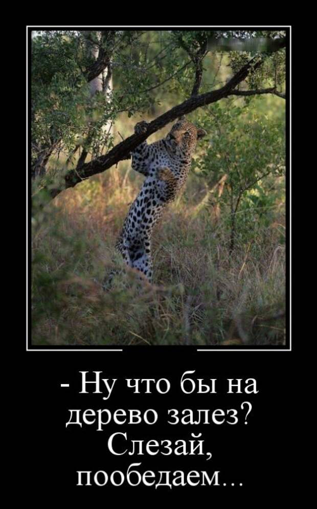 Демотиваторы (30 фото)
