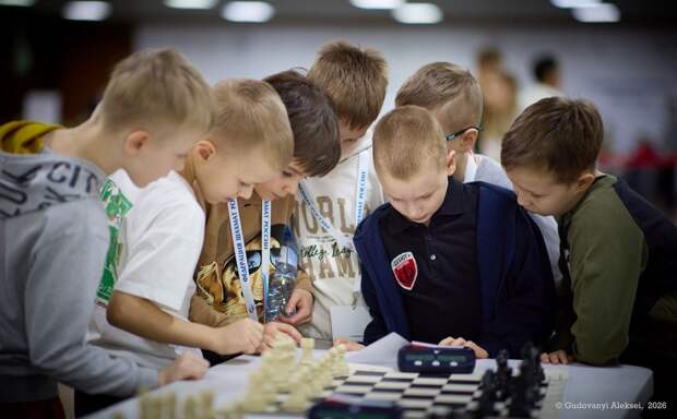 Тульские шахматисты завоевали три золотые медали Первенства страны