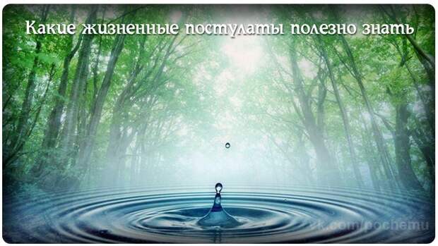 http://cs7004.vk.me/c7006/v7006827/3307/lEM7mIIEDco.jpg