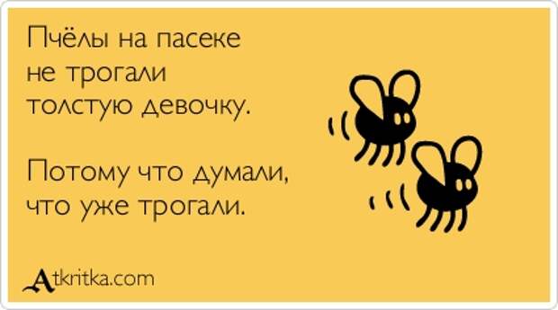 Пчёлы на пасеке не трогали толстую девочку. Потому что думали, что уже трогали.