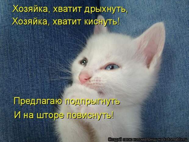 Лучшие котоматрицы недели (50 фото) Лучшие котоматрицы недели (50 фото)