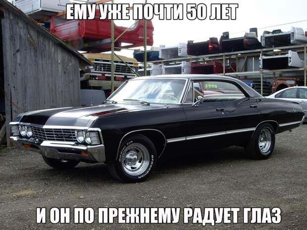 Смешные картинки с надписями прикол, юмор