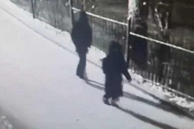 ТАСС: сопровождавшая пропавшего подростка в Красноярске была под влиянием