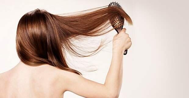 Качественная расческа — залог здоровых волос. Как выбрать правильно?
