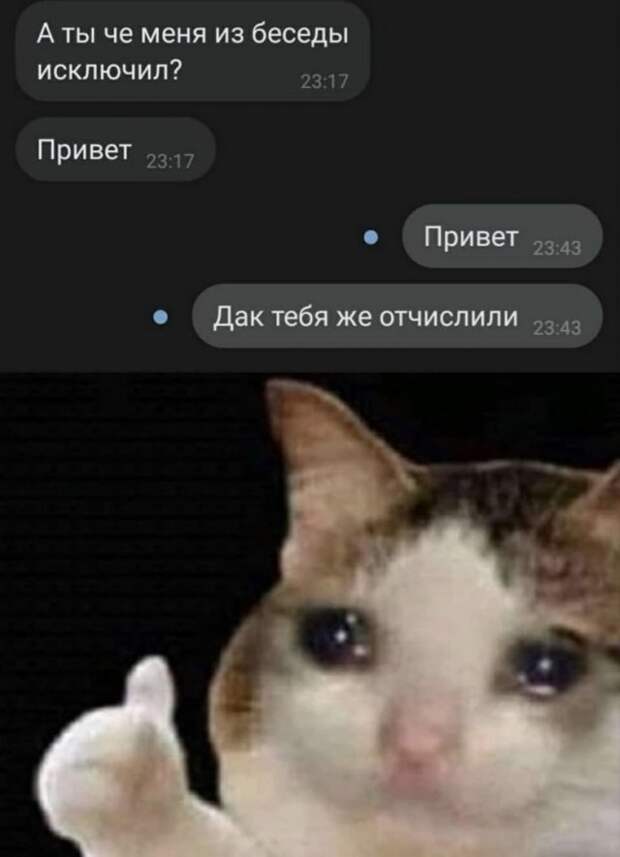 Смешные переписки