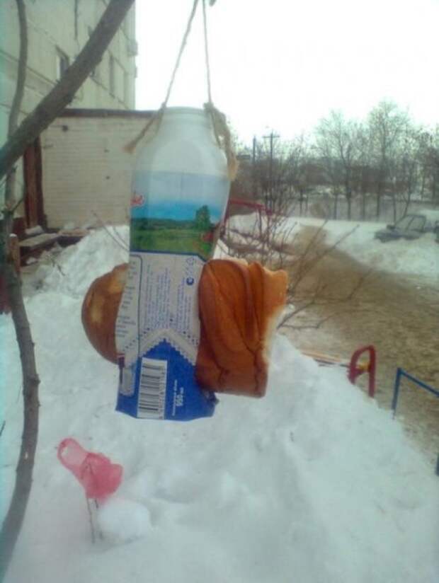 Это Россия, детка! (18 фото)