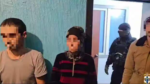 «Пять лет жизни псу под хвост»: приезжие умоляют оставить их в России из-за отсутствия перспектив дома