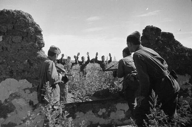 Венгры сдаются в плен бойцам Красной Армии, лето-осень 1942 года.Фотоматериалы из открытых источников