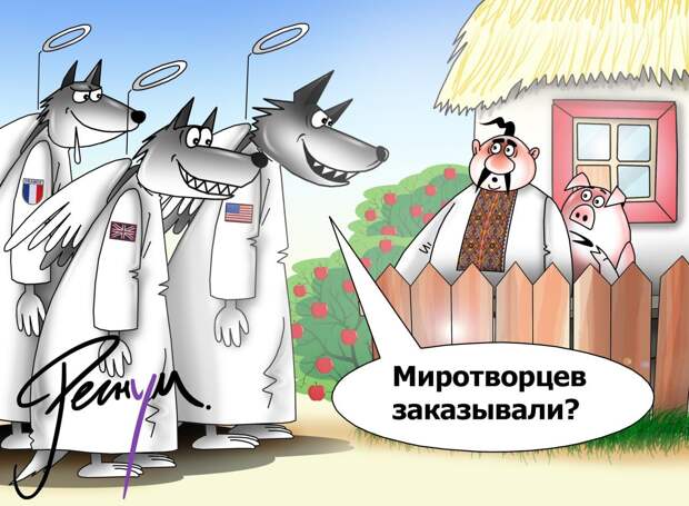 Зеленский заявил, что не понимает идею отправки миротворцев на Украину